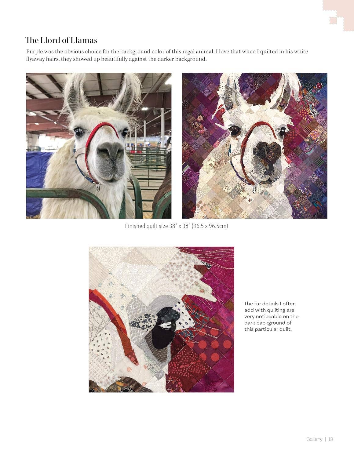 Fox Chapel Publishing - Stitched Photo Mosaic Quilting - A Unique Grid Technique